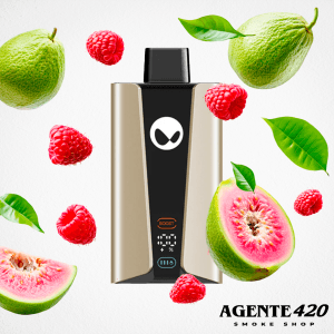 WAKA SOPRO TITAN PA30000 GUAVA RASPBERRY ICE (WAKA)